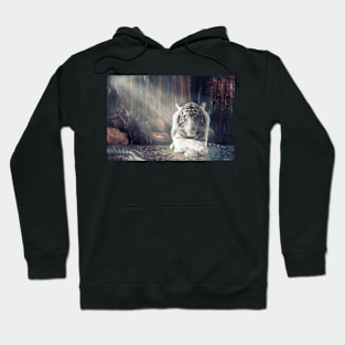 Tiger photograph Hoodie